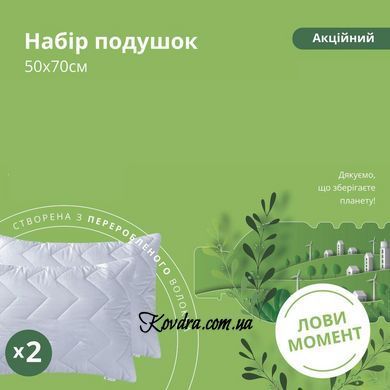 Набор подушек "Лови момент", 50х70 см