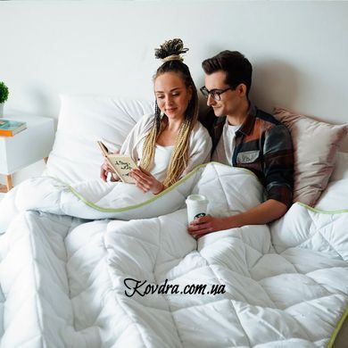 Ковдра антиалергенна EcoSilk 002 демі, 110x140 см