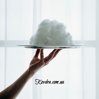 Зимова ковдра Bianco №644 з евкаліптом , 110х140 см