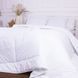 Зимова ковдра Bianco №644 з евкаліптом , 110х140 см