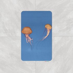 Коврик для ванной комнаты Jellyfish, 60х100см