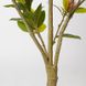Искусственное растение Engard Magnolia Tree, 150 см