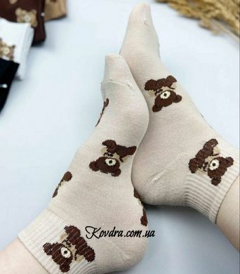 Шкарпетки жіночі "Bear new, асорті", розмір 37-41