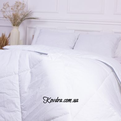 Ковдра антиалергенна Royal Eco-Soft 842 демі, 110x140 см