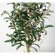 Искусственное растение Olive Tree, 80 см (DW-20)