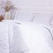Ковдра антиалергенна Royal Eco-Soft 842 демі, 110x140 см